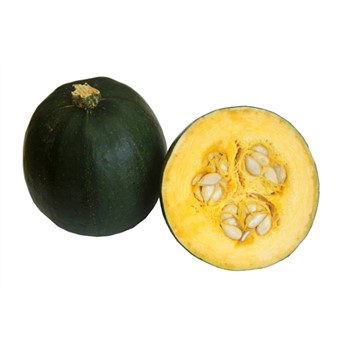 Gem Squash