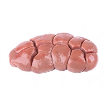 Beef Kidney (frozen)